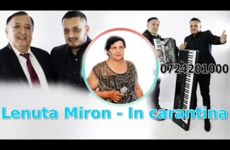LENUTA MIRON – Pandemia de Covid (Nou 2020)