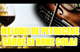 Muzica de Petrecere 2020 Colaj muzica de petrecere 2020