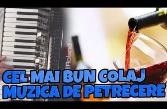 Muzica de Petrecere 2020 petrecere 2020,sarbe 2020, hore 2020, etno 2020