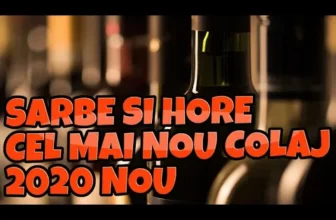 Muzica de Petrecere 2020 COLAJ MUZICA DE PETRECERE 2020 MUZICA DE CHEF SI VOIE BUNA