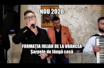 FORMATIA IULIAN DE LA VRANCEA – SARPELE DE LANGA CASA (NOU 2020 LIVE)