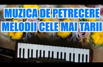 Muzica de petrecere 2020 – Colaj muzica populara de petrecere 2020 Mixaj