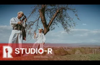 Gavrila feat Alex Martari – Mai pretine