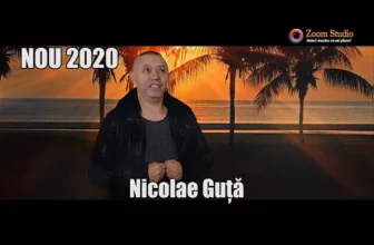 Nicolae Guta – Daca tie bine ti-ar fi (Originala 2020)