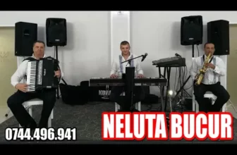 Neluta Bucur Live 2020 Non Stop Muzica de Petrecere