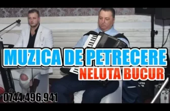 Neluta Bucur 2020 – Colaj sarbe, muzica de petrecere 2020, muzica populara 2020