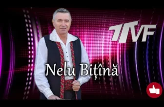 Nelu Bitina – Colaj muzica de petrecere 2020, muzica populara 2020, sarbe 2020, hore