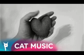 Taxi – Despre nimic (Original Radio Edit)