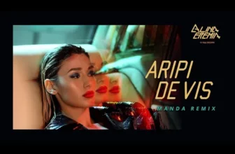 Alina Eremia – Aripi De Vis (Manda Remix)