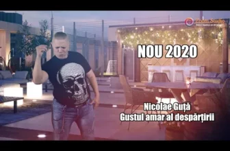 Nicolae Guta – Gustul amar al despartirii (Originala 2019)