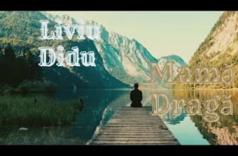 Liviu Didu – Mama Draga (Originala 2022)