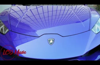 Leii grei (LCO Music Remix)