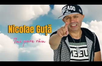 Nicolae Guta – Imi pare rau REMAKE