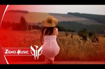 Zeno Music – Teri Meri (Remix)