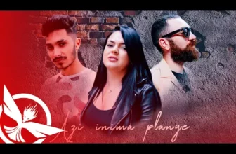 Bubu Pustanu x Tanu Music x Aziza – Azi inima plange (Zeno Music Remix)