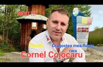 Cornel Cojocaru – Dragostea mea floare rara (Cover Simina Stanciu)