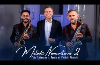 Puiu Codreanu & Petrica si Armin Nicoara – Melodii Nemuritoare 2
