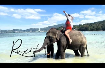 Ruxit – N-ai bilet