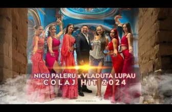 Colaj Hituri 2024 -2025 x Nicu Paleru x Vladuta Lupau x Vali Vijelie x Baboiash