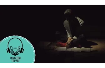 PROFU' CE MAI ZICI – Noaptea Tarziu (Cover Ruby ft Dorian Popa – Buna ce mai zici)