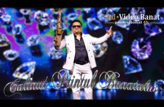 Calinu Printul Banatului (Instrumentala 2025)