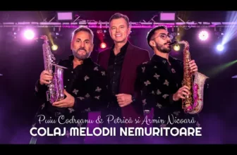 Puiu Codreanu & Petrica si Armin Nicoara – Colaj melodii nemuritoare