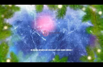 Fratii Sterp – In seara sfanta de Craciun (LCO Music Remix)