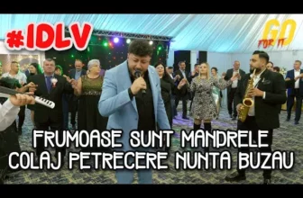 Iulian de la Vrancea – Frumoase sunt mandrele (Colaj Nou Muzica de petrecere)