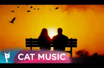 Taxi – Prea putin, prea tarziu