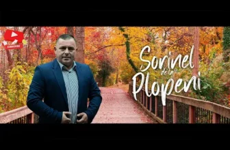 Petrecere 2024 – Super Mix Sarbe si Hore de Top!