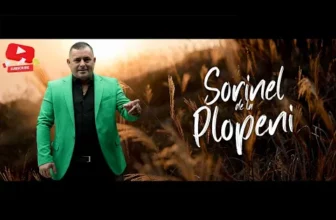 Muzica de Petrecere 2024 – Sarbe si Hore de Top!