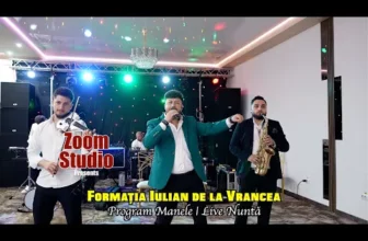 Iulian de la Vrancea – Colaj Manele 2024 Live