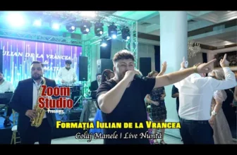 Iulian de la Vrancea – Omul cu valoare x Fratii care se iubesc (Live 2024)