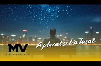 Manelele Viitorului – A plecat si l-a lasat