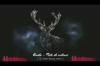 Andia – Pata de culoare (Dj iulian heavy remix)