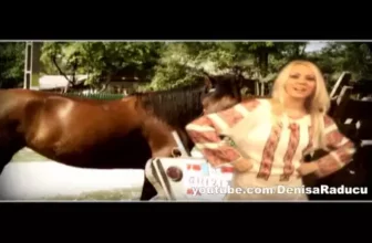 DENISA – Gata cu viata la tara