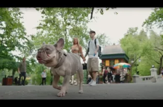 Berechet – AM O GAGICA