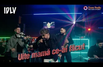 Iulian de la Vrancea – Stop, ca-i jale (Uite mama ce-ai facut)