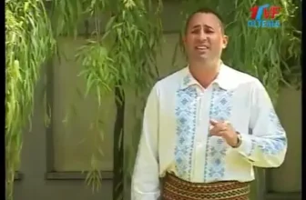 Nicusor Romanu – Ma intreb in toamna vietii