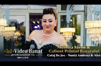 Nicoleta Sarbu & Calinut Printul Banatului – Colaj De Joc