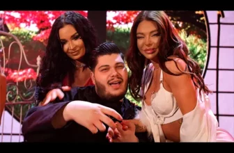 ROBERTO – Ma insor, gata! 2025