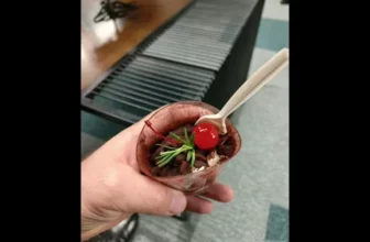 Anatol Dumitras – Tinerete nu pleca