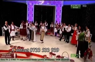 IANOS PRAHOVEANU – AZI BEAU CU PRIETENI