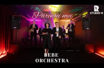 Bebe Orchestra – Parintii mei