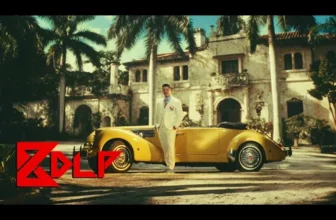 Bogdan DLP – Amandoi