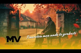 Manelele Viitorului – Tineretea mea unde te grabesti
