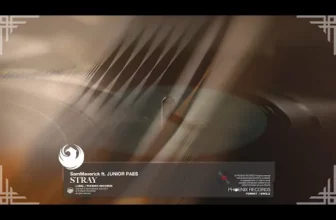 SamMaverick Feat. Junior Paes – Stray