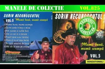 Sorin Necunoscutul – Mama buna, mama scumpa vol.5 (2005)
