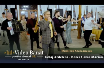 Dumitru Stoicanescu – Colaj Ardelene (Partea 2)