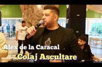 Alex de la Caracal – Mi-a placut spritul si viata & asta seara vreau sa beau (Live 2025)